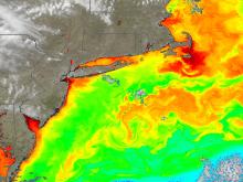 Data from the PACE satellite shows chlorophyll in the northwest Atlantic on March 29, 2026.