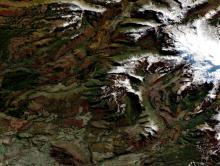 True color reflectance Harmonized Landsat Sentinel-2 image of fall colors in Chile from the MSI instrument aboard the Sentinel-2C platform on 9 May 2026.