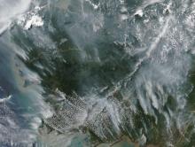Smoke is visible from fires in Kalimantan, Borneo, Indonesia on 28 August 2026 captured by the VIIRS instrument aboard the NOAA-20 satellite