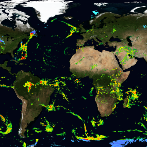 Global map with colors indicating areas of precipitation