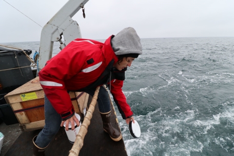 Dr. Kyla Drushka deploys ocean drifters to measure ocean currents at the sea surface.